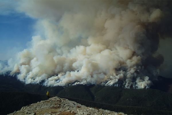 Fire burns on a thickly-treed mountain side, while a fire manager, dressed in nomex clothing. looks on.