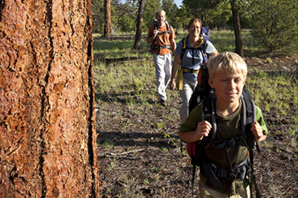 Family hikes in an open ponderosa pine forest.