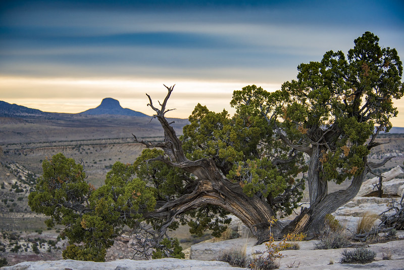 Ojito Wilderness, BLM