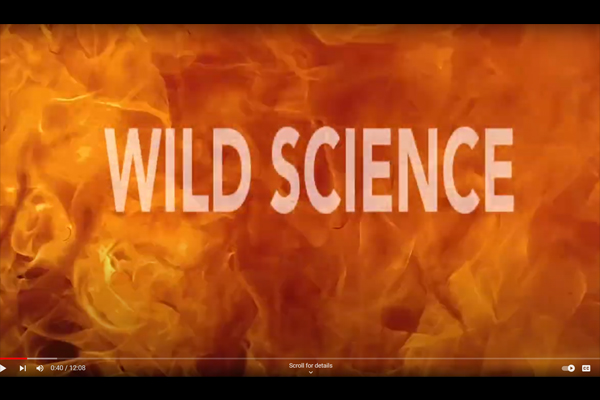 Wild Science title slide screen shot "Wilderness and Fire"