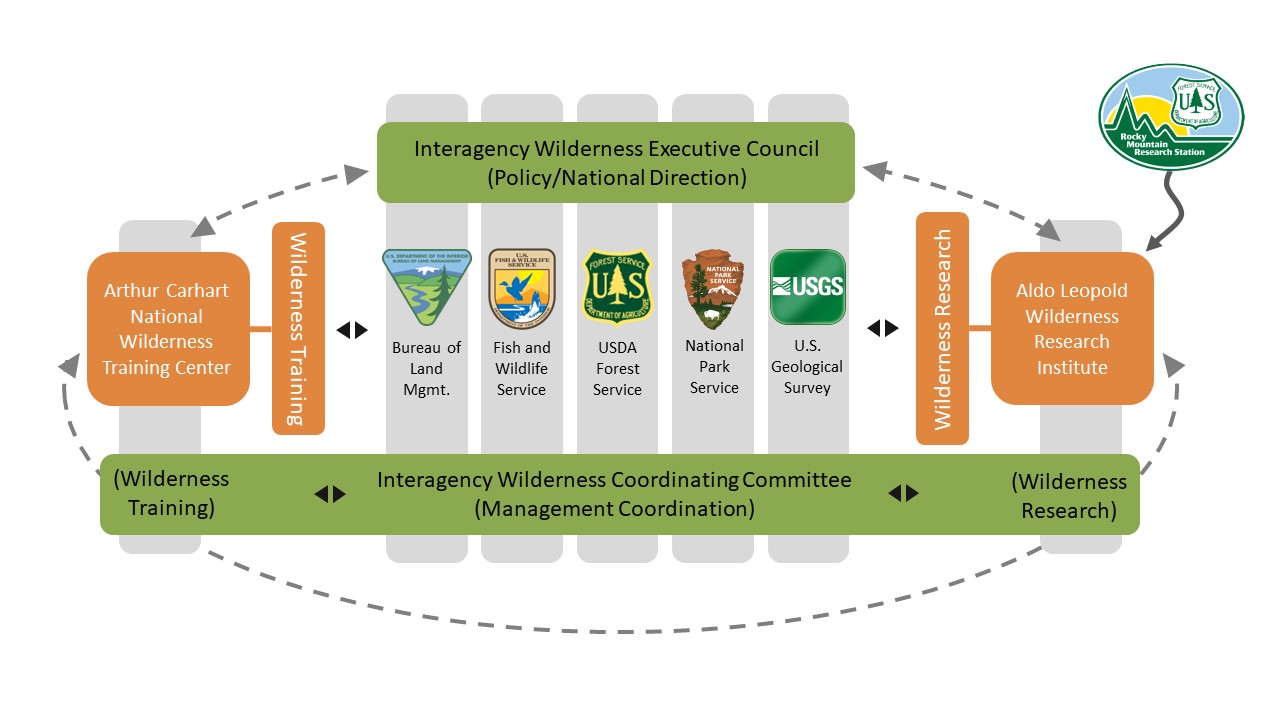 Organizational chart of the Interagency Wilderness Policy Council and Steering Committee. See text in this web page for more thorough description.